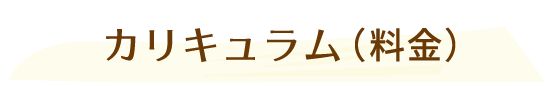カリキュラム(料金)